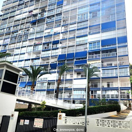 Apartment Alcalde Manuel Catalan Luxury بينايدورم المظهر الخارجي الصورة